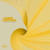 Losin Control (feat. Ashton Martin) - Single - Rodreep