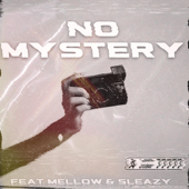 No Mystery (feat. Mellow and Sleazy)