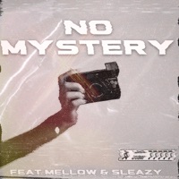 No Mystery (feat. Mellow and Sleazy) - Single - Kukzer Wadi Piano