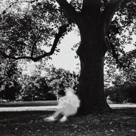 No Direction Home stevie nel