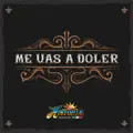Me Vas a Doler
