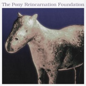 The Pony Reincarnation Foundation artwork