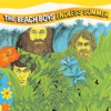 The Beach Boys - Endless Summer  artwork