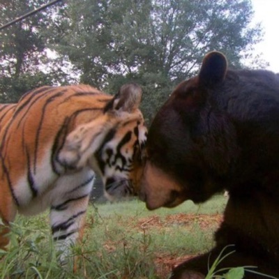 face2face (feat. handweep & lexa903) - Single