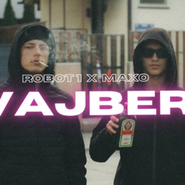 Vajber (feat. Maxo) Robot1