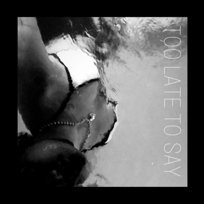 Too Late To Say (feat. Gazi) - Single
