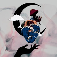 Conclusion - Porinita