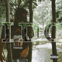 IDC - Single - Tidge