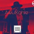 KayMan Hommie -Lento