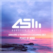 Peace of Mind (Radio Edit) artwork