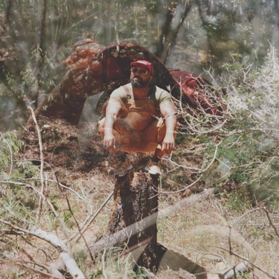 Roots & Branches (feat. Birdbrains) - Single