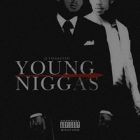 Young N****s (feat. Keylo) - Single - Juvie