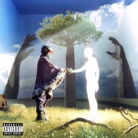 Waves - Single - Shaka Shams