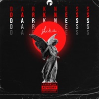 Darkness (feat. TESK) - Single - Shina