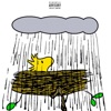 Rain - Single