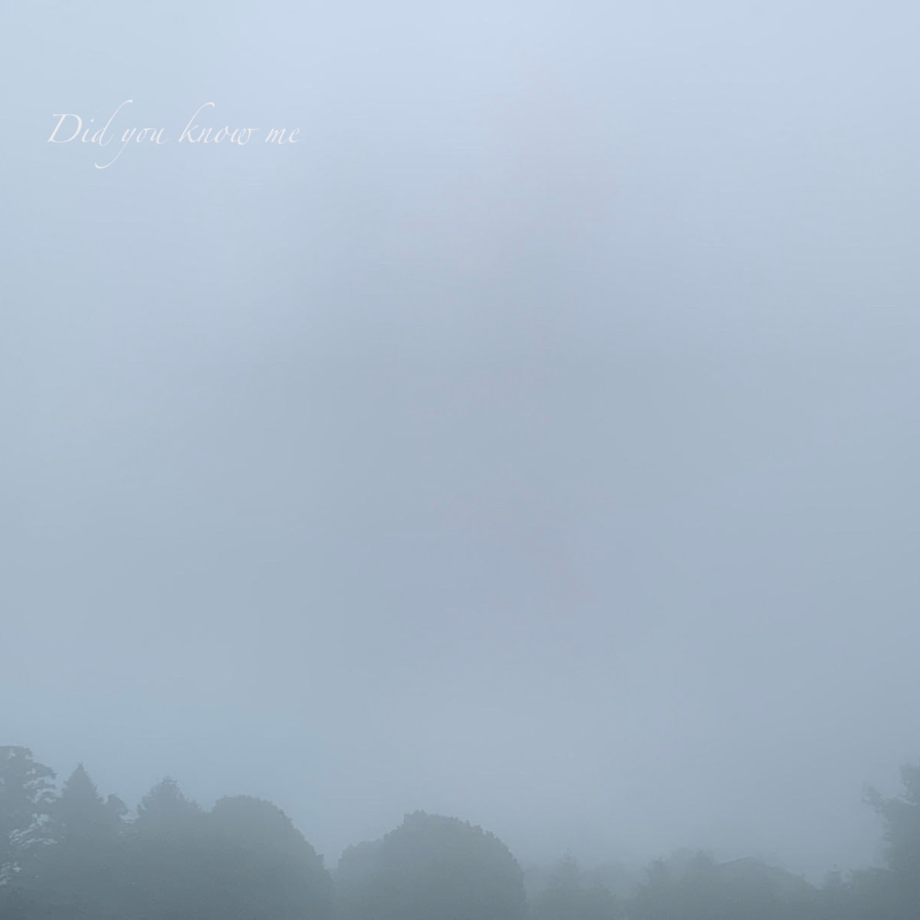 Do You Know What God Did for Me A Grateful Country Gospel Song KoHarmony