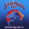 Winter Time by Steve Miller Band