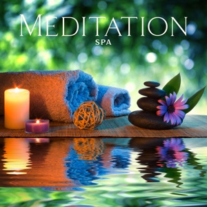 Meditation Spa (Healing Flute for Massage and Relaxing Music Therapy for Stress Relief)