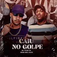 Caiu no Golpe - Single - mc wind sp & DJ Biel Elite
