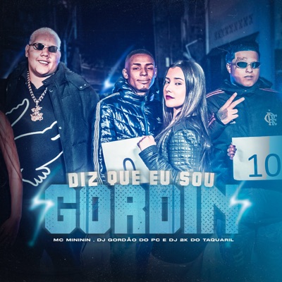 Diz Que Eu Sou Gordin - Single