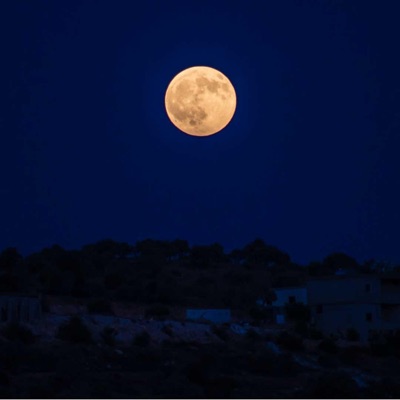 To the Moon (feat. Mo'riya Chrissy) - Single