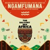 Ngamfumana (feat. LuuDadeejay, Mellow & Sleazy & Murumba Pitch) cover art