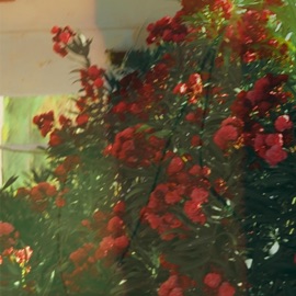 what i feel (feat. vai5000) carr.