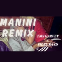 MANINI (feat. FIDEL RAYD) [REMIX] - Single - TMS GARVEY