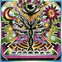 DIRTY THIRTY CHAMELEON - buzzy.