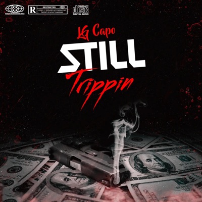 Still Trippin - Single