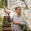 Pierre-Yves Prothais A la massaye les grenouilles dansent Eau fil de soi