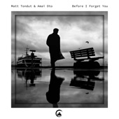 Before I Forget You artwork