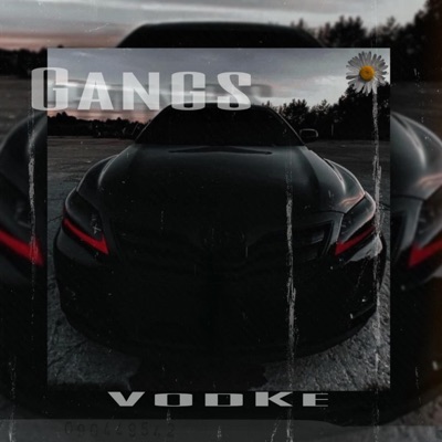 VodKe - Gangs