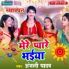 Mere Pyare Bhaiya - Single