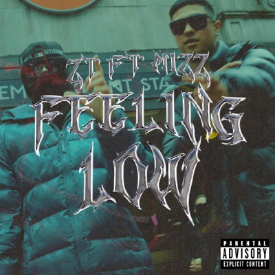 FEELING LOW (feat. Mizzofficial) - Single