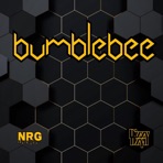 Bumblebee - Single