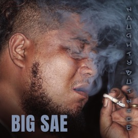 Fallen in Love (feat. Blad P2a & Karo) Big Sae