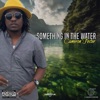 Something in the Water - Single