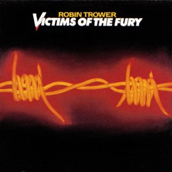VICTIMS OF THE FURY cover art
