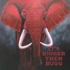 Its Bigger Then Bugg Part 1