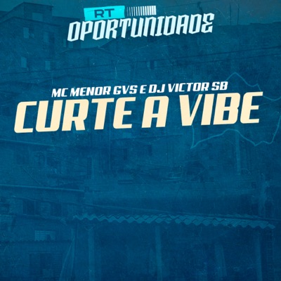 Curte a Vibe - Single