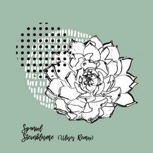 Steinblume (Incl. Ulises Remix) - EP