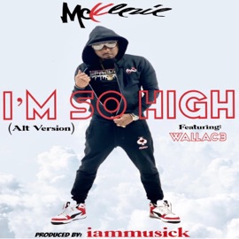 I'm So High (Alt) (feat. Wallac3) Mcklezie