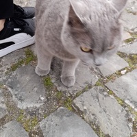 Plug_Luv - Single - Casperrr