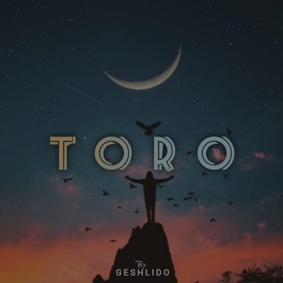 Toro - Single