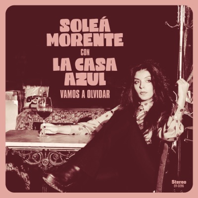 Vamos A Olvidar (feat. Las Negris) - Single