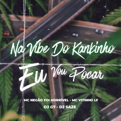 Na Vibe do Kankinho Eu Vou Pocar - Single