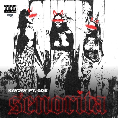 Senorita (feat. GDS) - Single