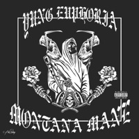 Montana Mane - yung euphoria