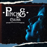 PINCHE C****A - Single - Santos Cali High